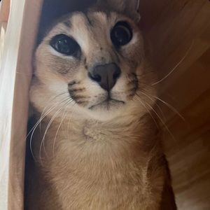 Meet your Posher, Matthew